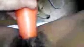 Amador dominar animais pênis longo de vídeo pornô chupando buceta uma menina macia