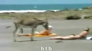 Kink ebano filme pornô da márcia