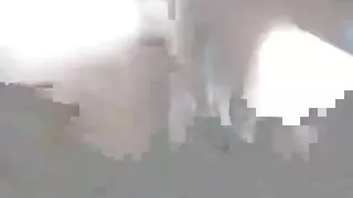 Não tímido trufa gozada nos pés video pono doido de uma menina
