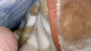 Petrificado tesão do caralho Mulato no cu e na boca vídeos eroticos